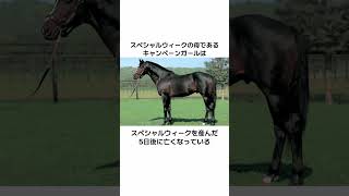 「スペシャルウィーク」に関する雑学動画① #競馬 #競馬予想 #ウマ娘 #菊花賞 #スペシャルウィーク