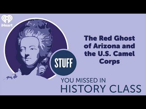 SYMHC Classics: The Red Ghost of Arizona & the U.S. Camel Corps | STUFF YOU MISSED IN HISTORY CLASS