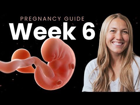 6 Week Pregnancy | Week By Week Pregnancy