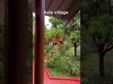 Best Resorts in Karjat under 3k | pool |mountains #karjat