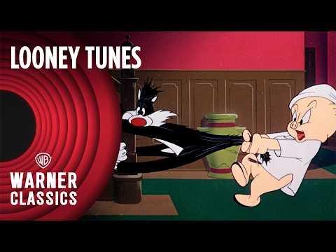 Looney Tunes | Scaredy Cat (1948 Full Episode) | Warner Classics