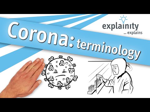 Corona terminology explained (explainity® explainer video)