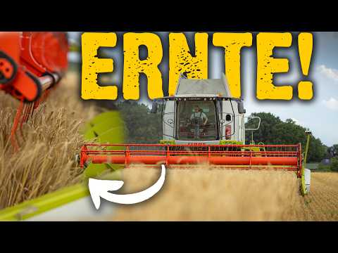 Was passiert beim Dreschen von Getreide? | Gerstenernte mit Claas Lexion 660 TT | agroscenes