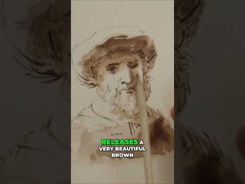 What type of ink did Rembrandt use for his drawings?