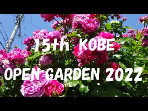 神戸市 オープンガーデン 2022＃Flower#イングリッシュガーデン＃趣味の園芸＃OpenGarden