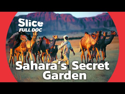 Ennedi Massif: Discovering Chad's Hidden Garden of Eden in the Sahara Desert | FULL DOCUMENTARY