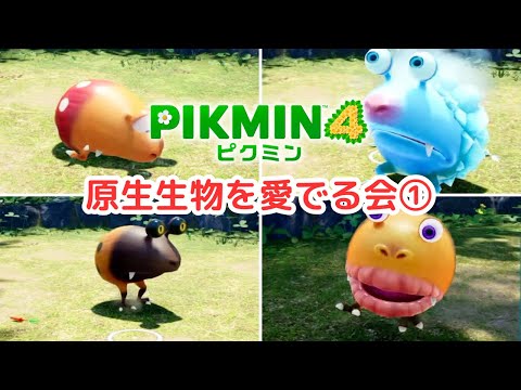 【原生生物を愛でる会①】デメマダラ前半を解説!!!【ピクミン４】