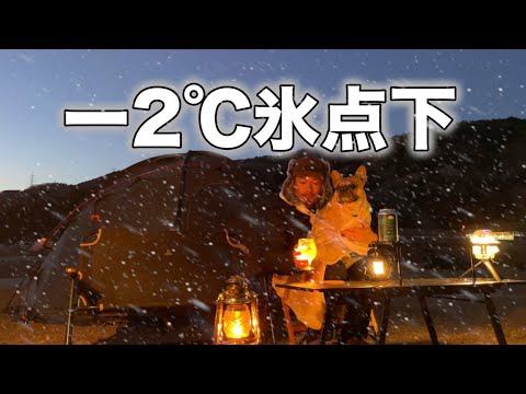 【また帰って来ます】最低気温ー2℃、最高気温4℃で犬とキャンプするとこうなる(笠置キャンプ場)