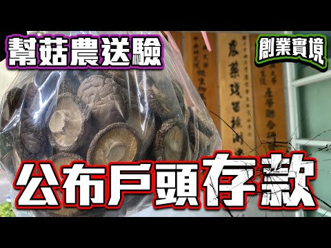 【尋農高手】閒聊。公布戶頭餘額，竟然僅剩下？幫菇農送驗農藥殘留量，順便閒聊最近生活狀況【創業實境小記】