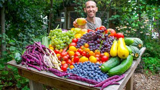 Unbelievable Organic Garden Harvest, This is What I Harvested Today!