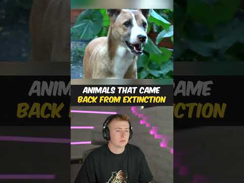 Animals That Came Back From Extinction!