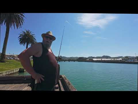 Fishing The Jetty Gisborne New Zealand