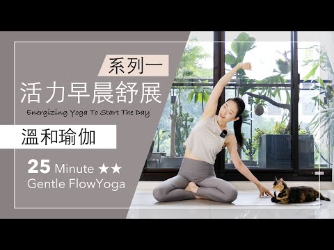 早晨系列 1  | 活力舒展【溫和瑜伽】25分鐘 Gentle Flow Yoga ★ ★ #瑜伽 #拉筋 #flowyoga #yogastretch #早晨瑜珈  #mindfulness #正念