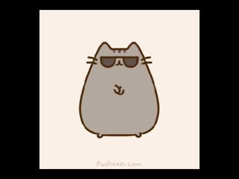 PUSHEEN♡︎♡︎♡︎