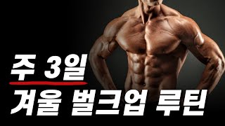 과학적인 '주 3일' 겨울 벌크업 운동 루틴