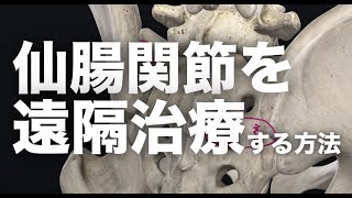 【重要】コロナ生き残り戦略の生命線　遠隔治療をマスターする【腰痛 治し方 ストレッチ】How to cure low back pain online