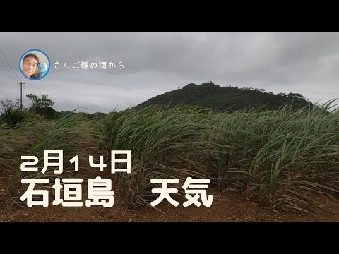 【石垣島天気】2月14日12時ごろ。15秒でわかる今日の石垣島の様子。