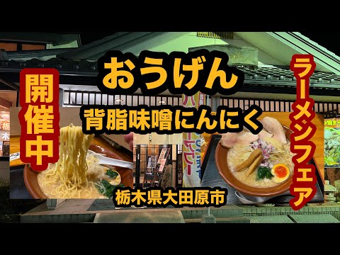 【栃木グルメ】おうげん（大田原市）ラーメンフェアで背脂味噌にんにくラーメンを食べてみた