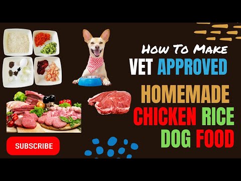 Chicken and Rice Dog | Homemade | vet approved | Food Recipe | Blogs by Ibrar