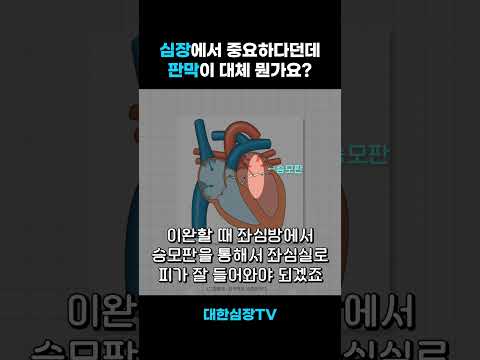 심장의 해부학, 심장판막이란?