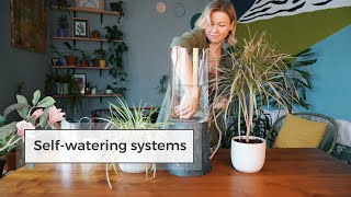 4 DIY Self-Watering Systems / Water Plants While Away!