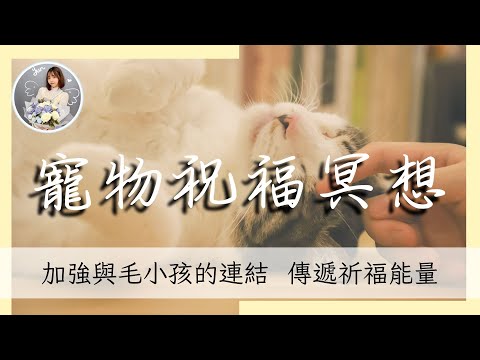 【任何寵物皆適用】寵物祝福冥想，傳遞健康、幸福、愛給寶貝寵物｜冥想引導系列｜雲Yun