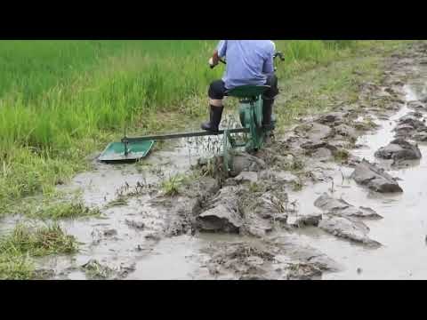 Rice field single-wheel tiller at work