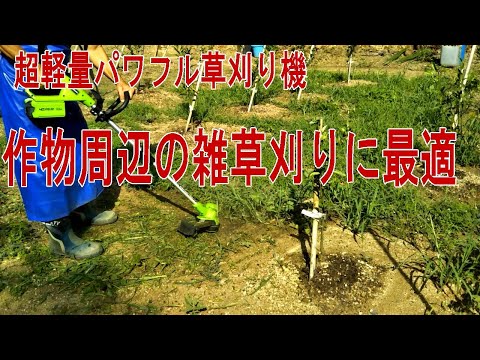 【軽量草刈り機】【雑草処理】果樹周りの草刈りに便利