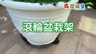 滾輪盆栽架 移動花盆架 輪子花架 方便 轉向 清潔 移動 滾輪水盤 #花園城堡園藝資材倉庫