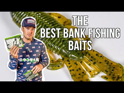 The BEST BANK FISHING BAITS! ( Bass Fishing Tips)