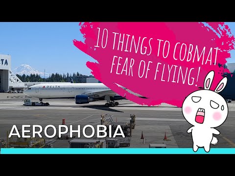 Aerophobia: 10 Things to Combat Fear of Flying