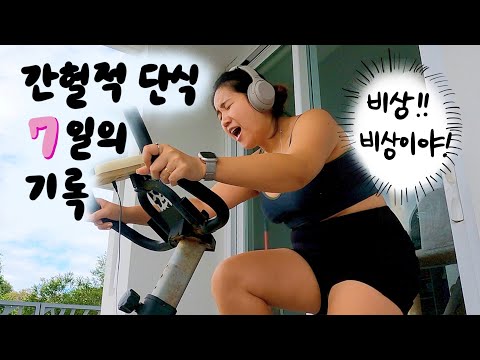 이쯤 되면 살 뺄 마음이 없는 사람의 간헐적 단식