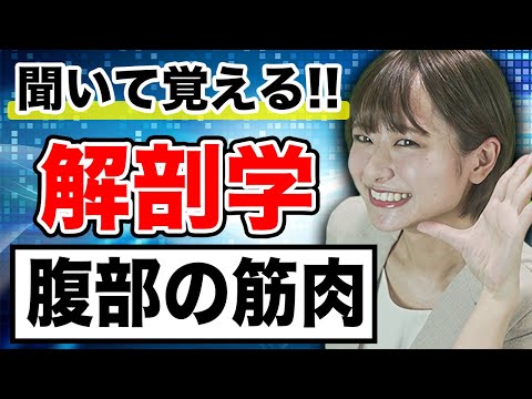 【解剖学】覚えにくい解剖学の腹部の筋肉について(医学生・医療系学生向け)