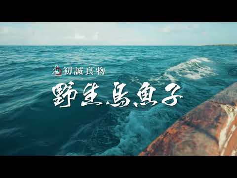 來自雲林口湖的好滋味—野生烏魚子【初誠良物】