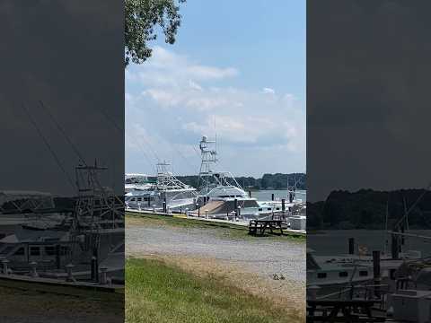 Summer Boating #nature #relaxing #summer #meditation #travel #travelvlog #trending #trendingshorts