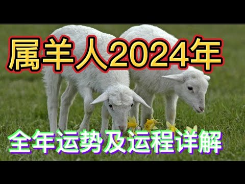 属羊人2024年全年运势及运程详解