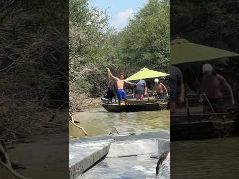 flying carp jumps in boat