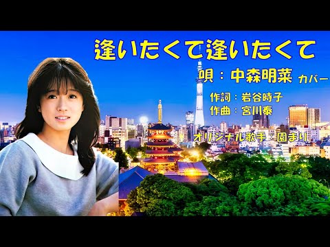 逢いたくて逢いたくて  中森明菜