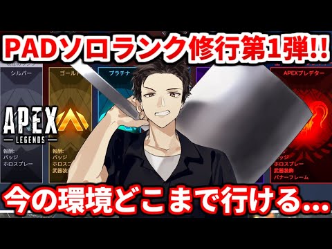 【魂のソロランク】PADで今の環境どこまで行けるのか・・第一弾【残り16日】