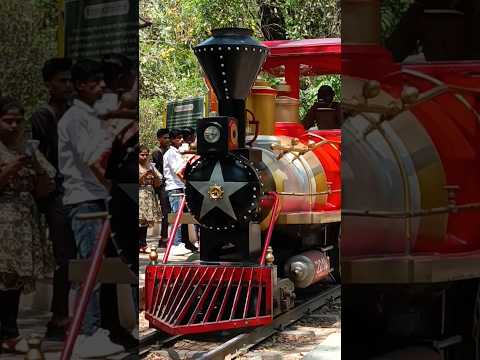 Lucknow zoo train 🚂 #lucknowzoo #lucknow #lucknowtour #ytshorts