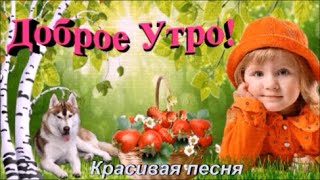 Доброе Утро! Хорошего Дня и Прекрасного Настроения! Музыкальная Открытка  Пожелание!