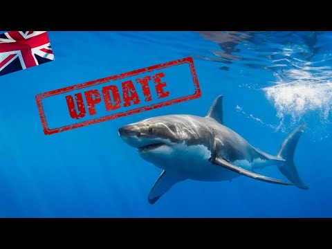 GIVING UP ON THE BRITISH GREAT WHITES ?? 🦈🇬🇧