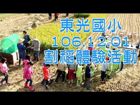 20171201 新竹縣關西鎮東光國小 【秋收割稻體驗】