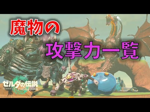 【ティアキン】敵の攻撃力を計測してみた【ゼルダの伝説 ティアーズ オブ ザ キングダム】