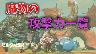 【ティアキン】敵の攻撃力を計測してみた【ゼルダの伝説 ティアーズ オブ ザ キングダム】