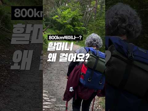 할머니도…800km를 걷는다고?