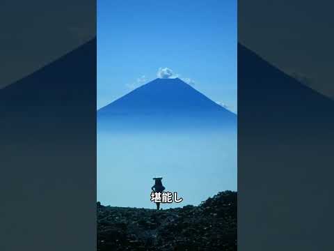 【旅行】富士急ハイランド１日観光プラン！（山梨県） #富士山 #ド・ドドンパ残念