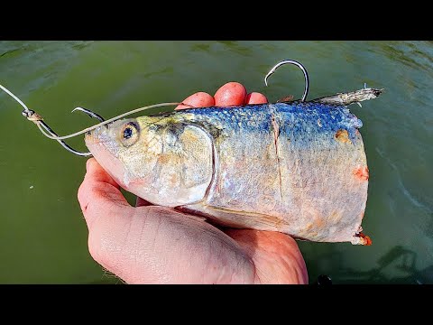 I Dropped This Bait Into A 70 FOOT HOLE!! (It got destroyed)