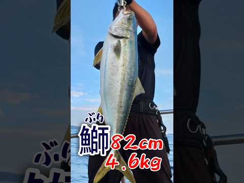 【激戦】痛快HIT！から浮かび上がる魚は...?