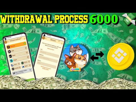 MISTAKE ☠️ How To Withdrawal Catizen Coin 🛑 Catizen Withdrawal Details Process 💸